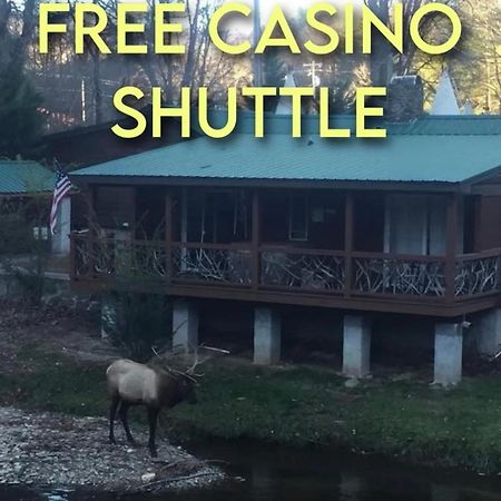 Qualla Cabins And Motel Cherokee Near Casino Whittier Екстериор снимка