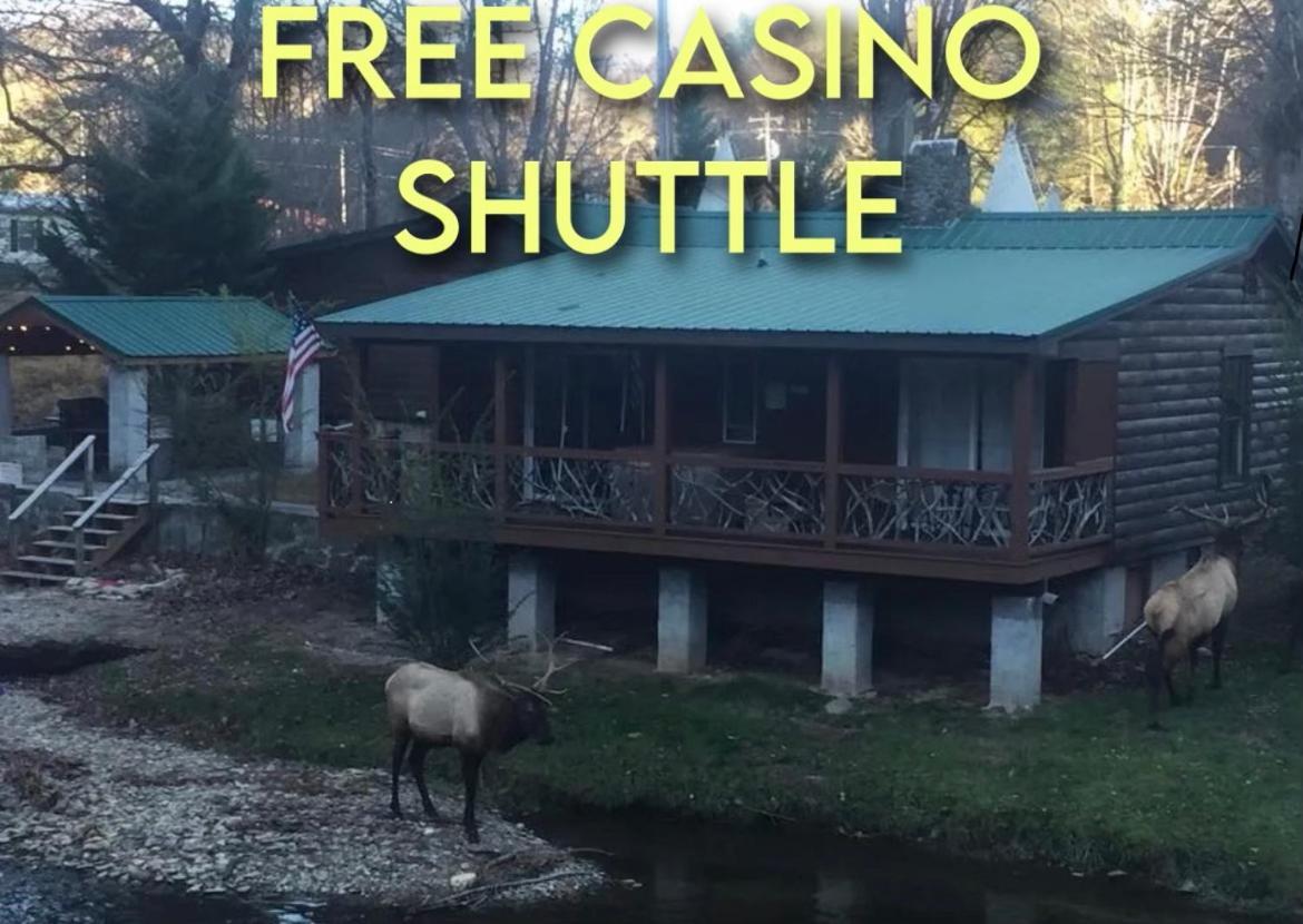 Qualla Cabins And Motel Cherokee Near Casino Whittier Екстериор снимка